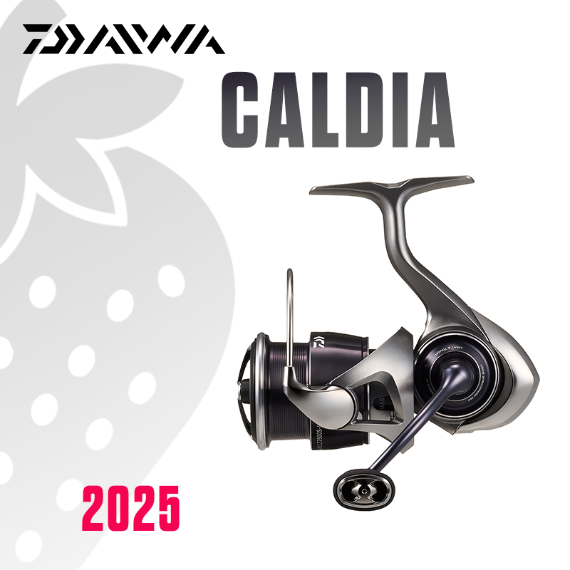 ダイワ 2025 カルディア LT フィッシングリール スピ - Daiwa Reel Bg のレビューと価格